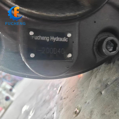 1-200D40 Гидравлический двигатель для стандарта из китайского в черном цвете